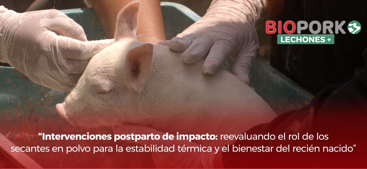 Intervenciones postparto de impacto: reevaluando el rol de los secantes en polvo para la estabilidad térmica y el bienestar del recién nacido