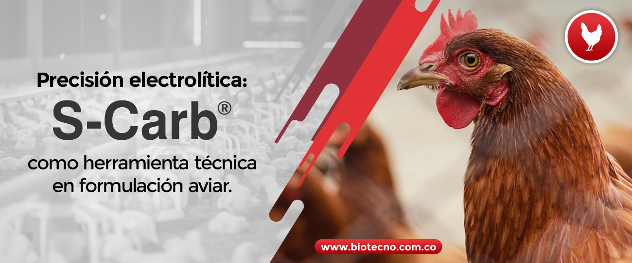 Precisión electrolítica: S-Carb® como herramienta técnica en formulación aviar