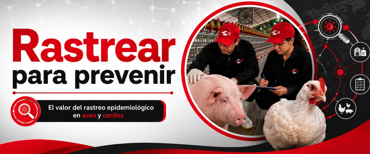 Rastrear para prevenir el valor del rastreo epidemiológico en aves y cerdos