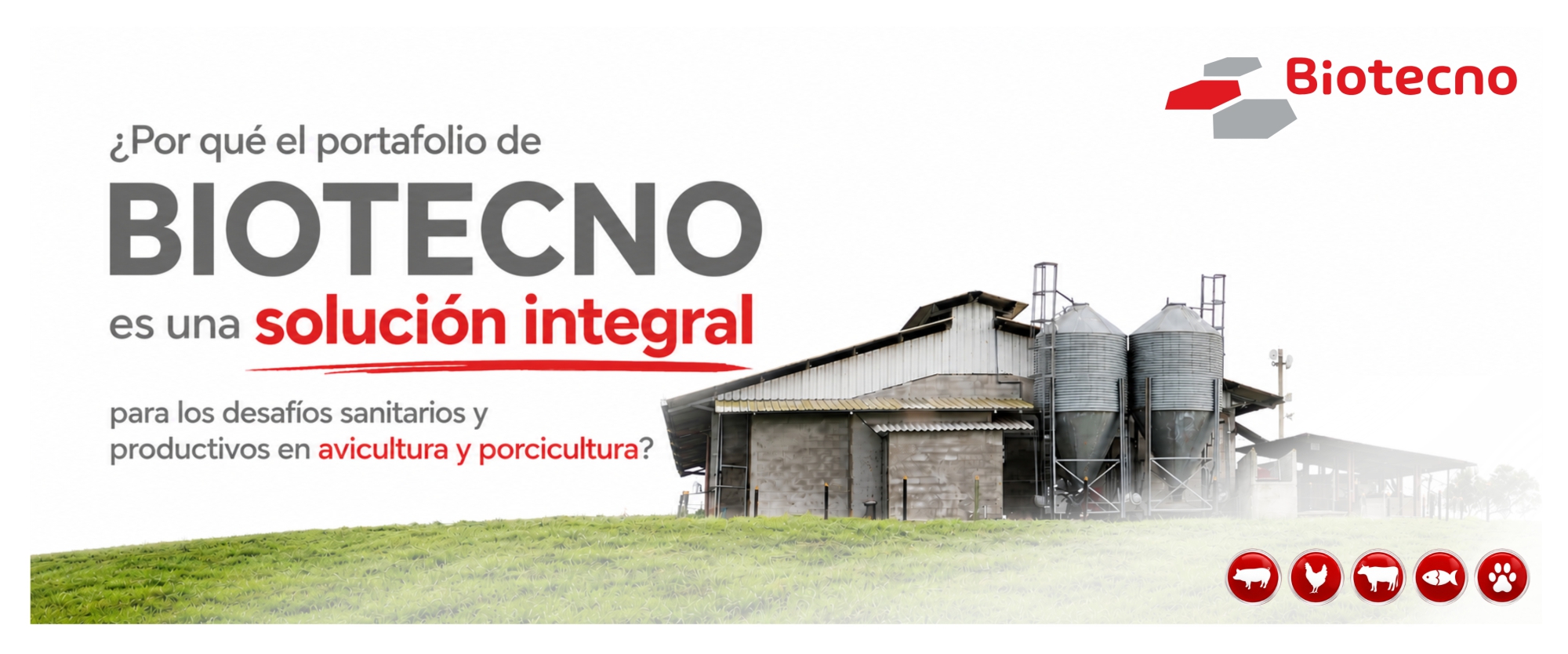 ¿Por qué el portafolio de BIOTECNO es una solución integral para los desafíos sanitarios y productivos en avicultura y porcicultura?